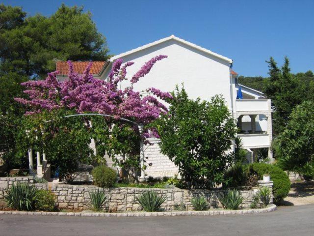 Apartments Sarah Medvinjak Exterior photo